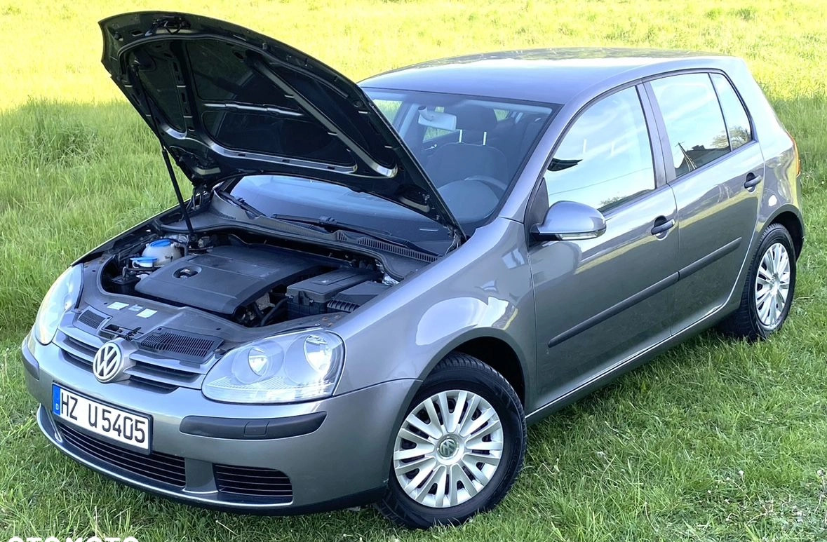 Volkswagen Golf cena 12600 przebieg: 193000, rok produkcji 2004 z Gostynin małe 562